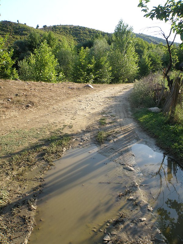 Lebnitsa, Lebnica, Лебница