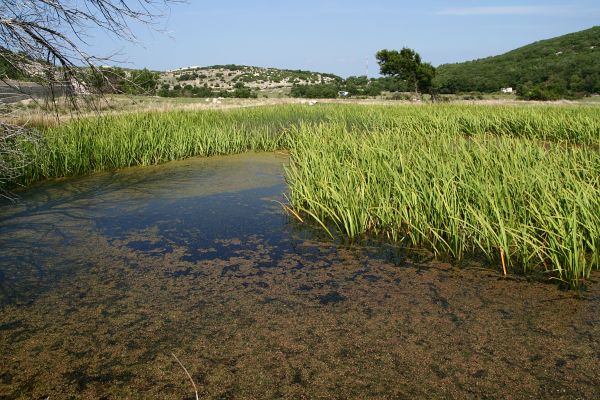 Dokolovo