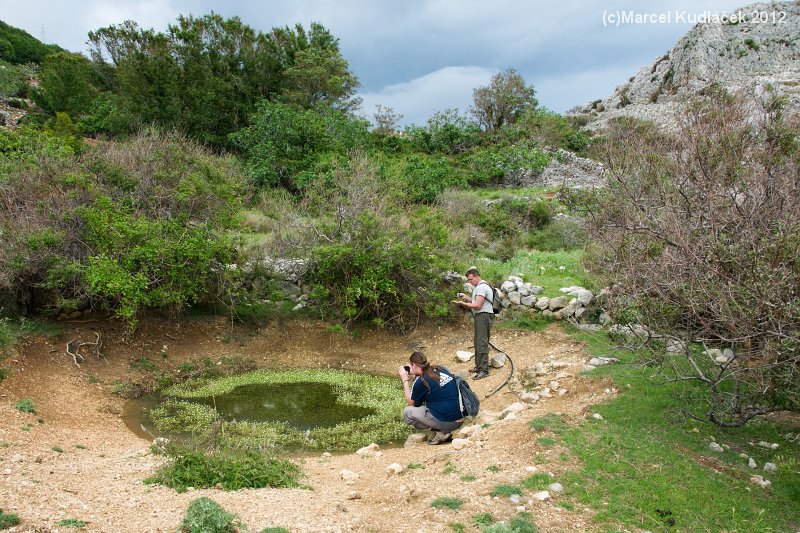 Otok Krk, Isola Veglia, Krk, Krk-sziget, Krki saar, Ostrovo Krk, Ostrvo Krk, Veglia, Крк, クルク島