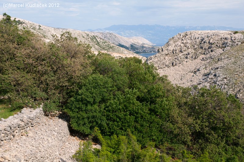 Otok Krk,  Isola Veglia,  Krk