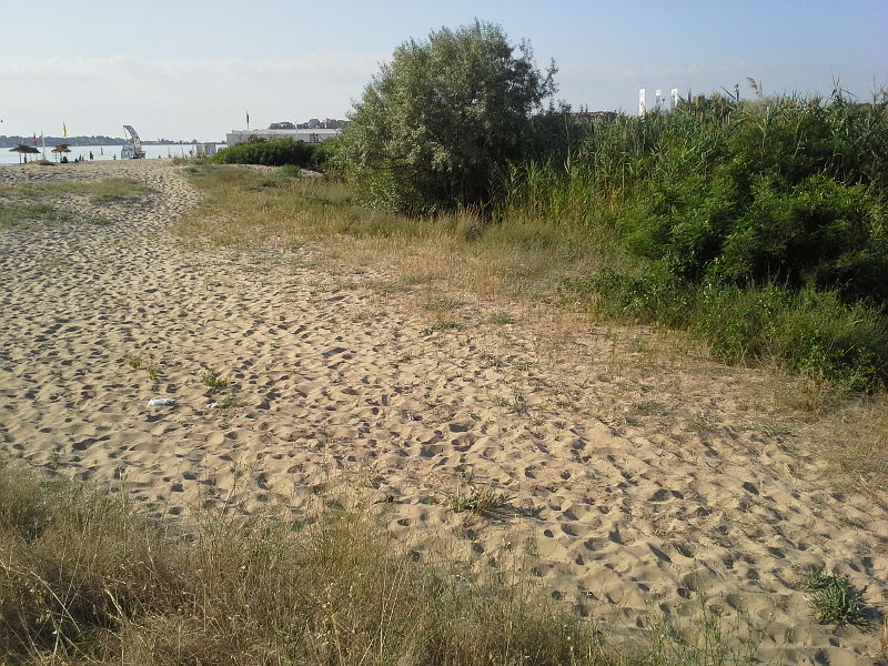 Slanchev Bryag, Slunchev brjag, Sunny Beach, Слънчев бряг