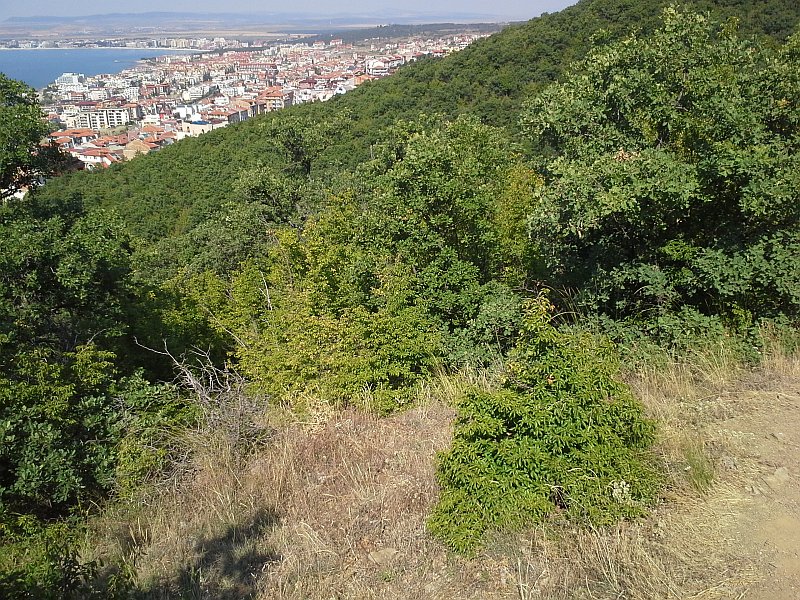 Sveti Vlas, Свети Влас