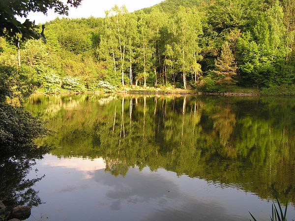 jezero Bojana, Bojana Lake