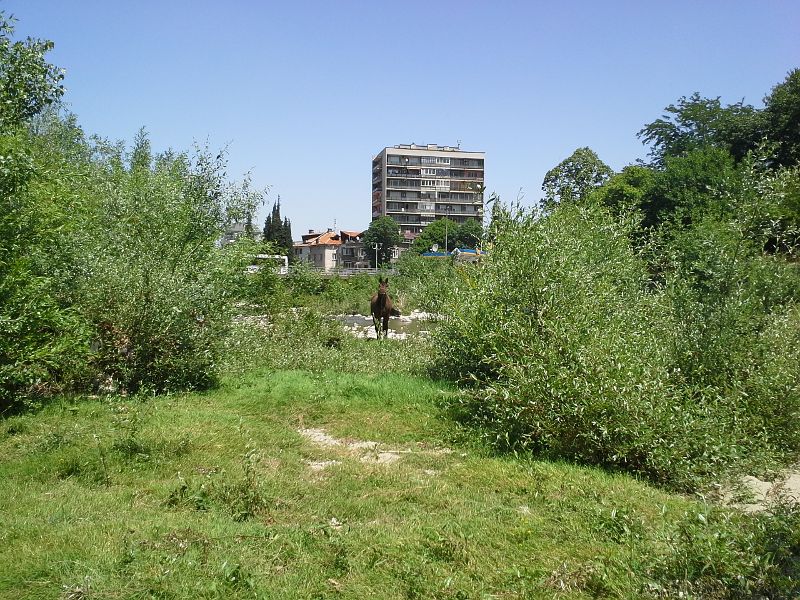 Asenovgrad, Асеновград