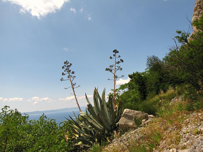 Biokovo nad vesnicí Kotišina