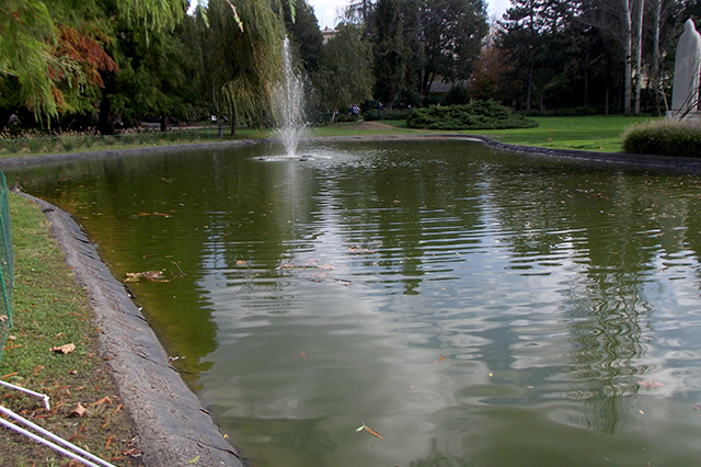 Danube Park, Novi Sad