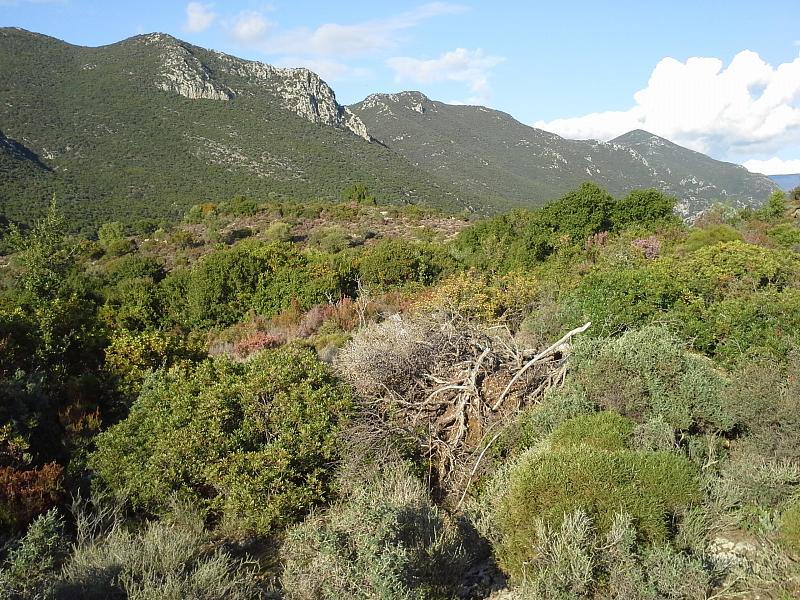 Moni Velanidias, Μονή Βελανιδιάς, Kalamata