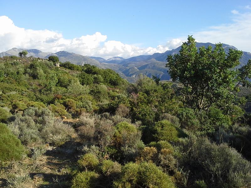 Moni Velanidias, Μονή Βελανιδιάς, Kalamata