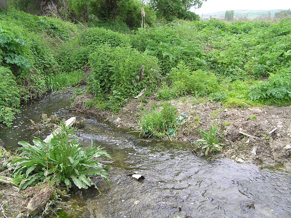 Ivajlovgrad, Ivaylovgrad