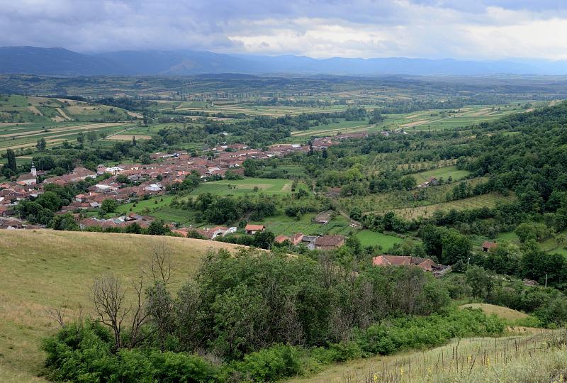 Pătaş,  Patas,  Pajas