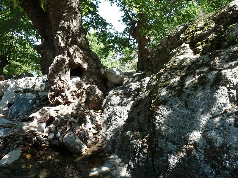 Nísos Samothráki,  Nisos Samothraki,  Nisos Samotraki