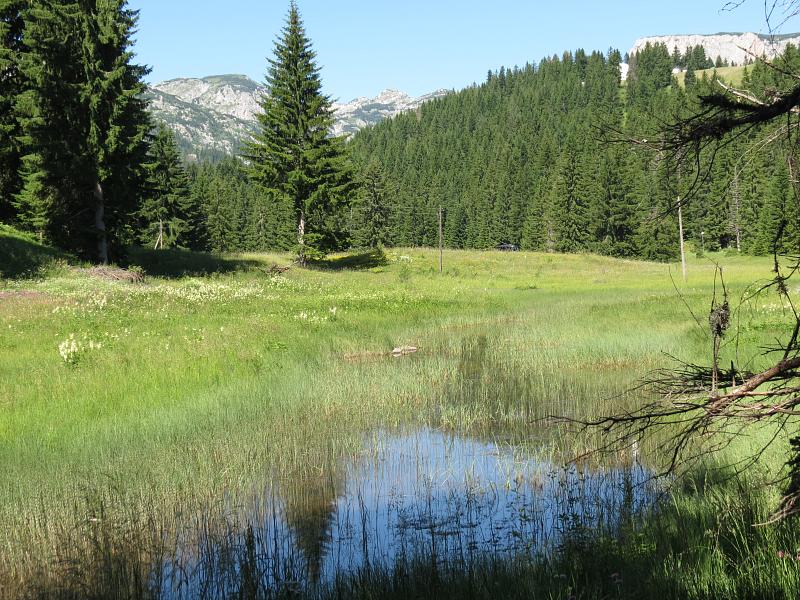 Žabljak, Zabljak