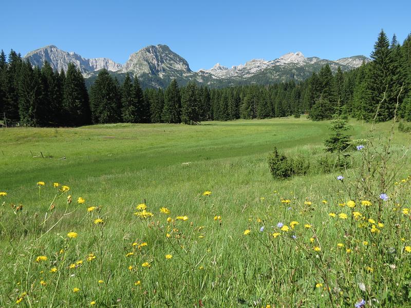 Žabljak, Zabljak