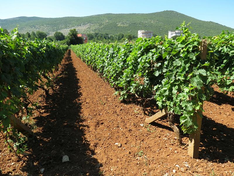 Međugorje, Medugorje, Medjugorie, Medjugorje, Medzugorie, Medžugorie