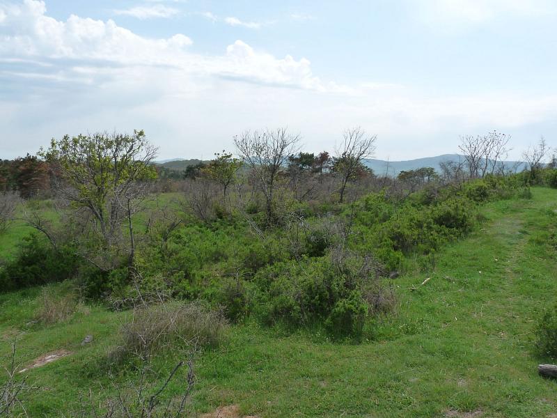 Sozopol,  Apollonia,  Sizebolu