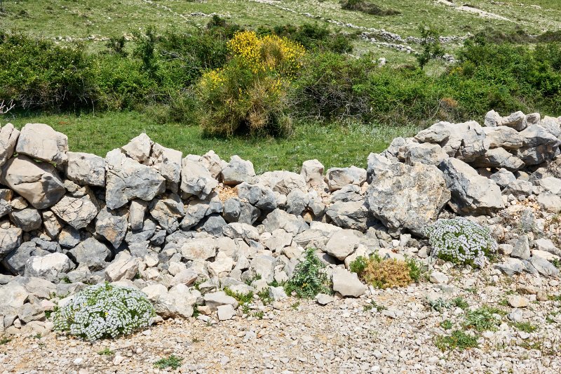 Stara Baška, Stara Baska, Baska Stara, Baška Stara, Bescavecchia