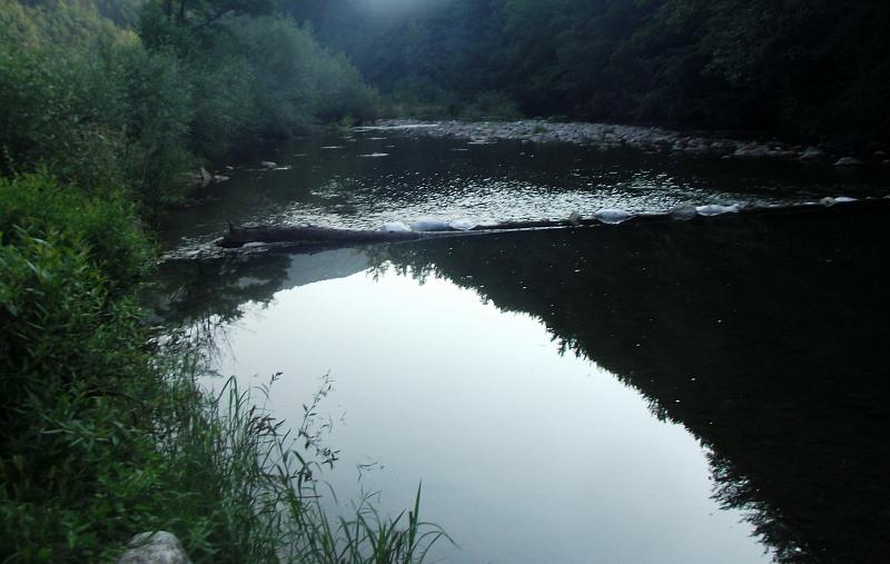 Drežnik, Dreznik