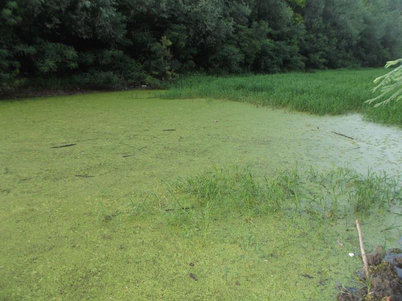 Veliko Ratno Ostrvo, Great Kriegs Island