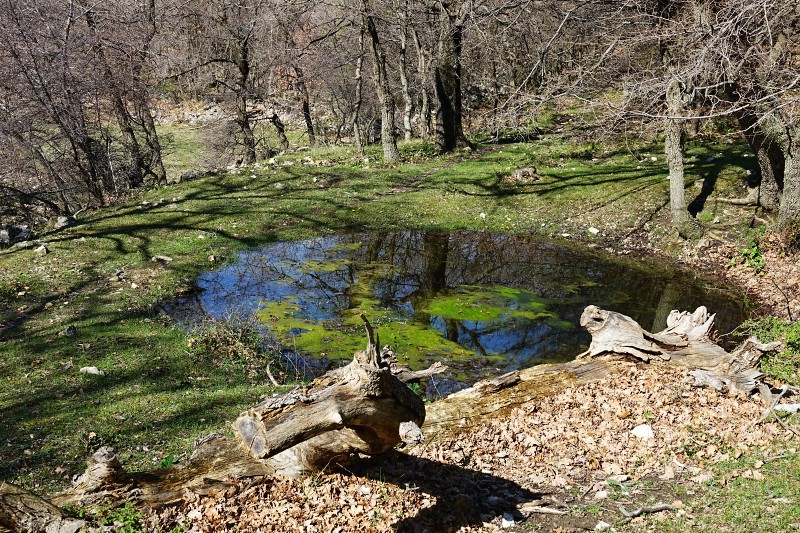 Konobe