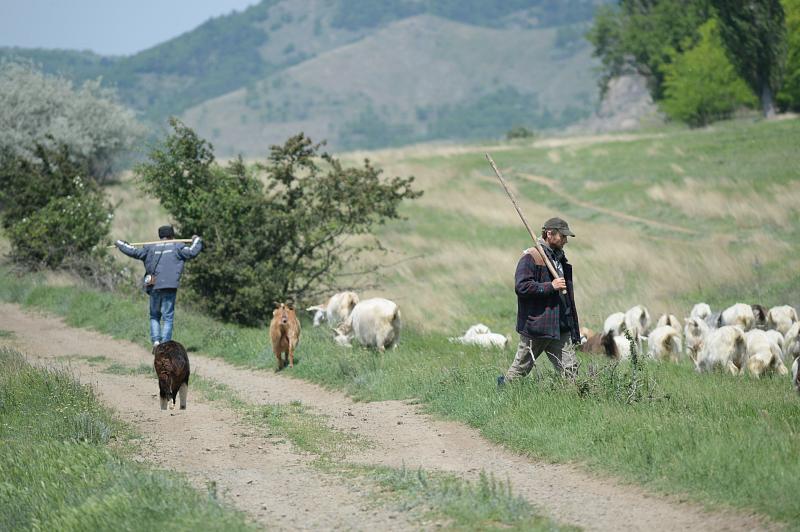 Măcin, Macin, Maçin, ماچین