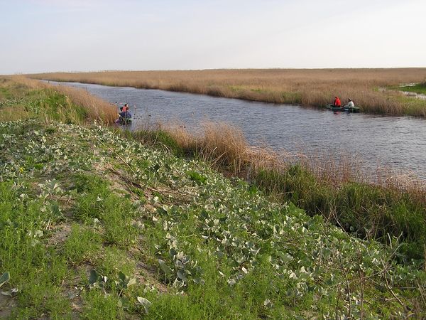 kanál Tataru, Tataru canal