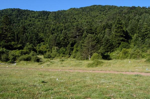 NP Llogarë, Llogarë NP