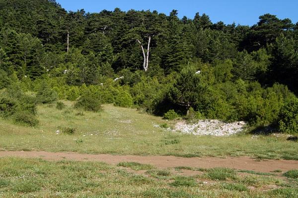 NP Llogarë, Llogarë NP