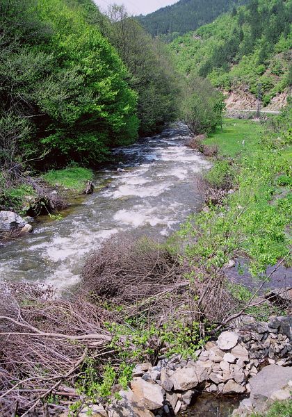 Bistrica, Bistritsa Bistrica, Bistritsa