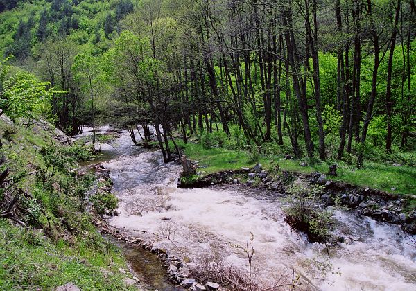 Bistrica, Bistritsa