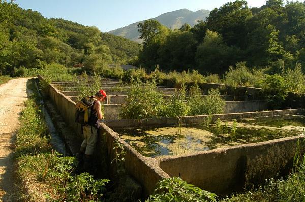 Syri i Kalkër