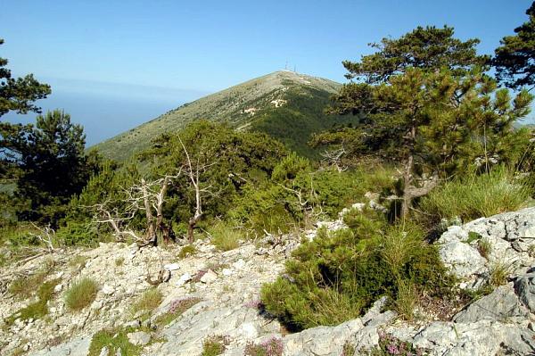 NP Llogarë, Llogarë NP