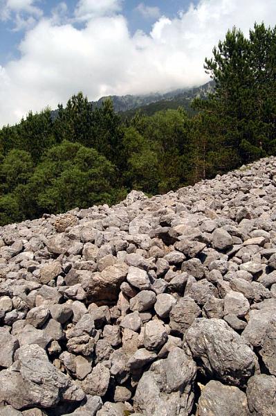 NP Llogarë, Llogarë NP