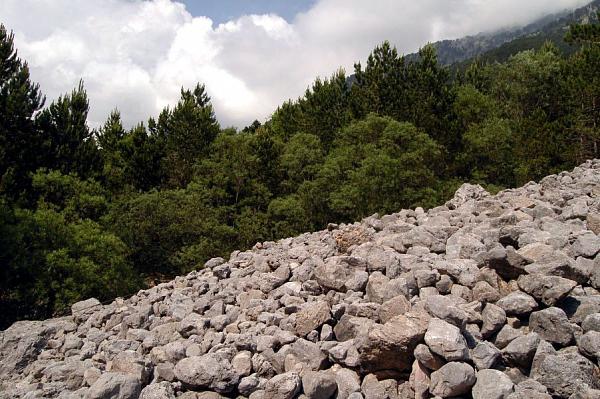 NP Llogarë, Llogarë NP