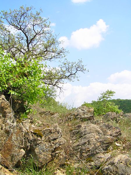 Nadežden, Nadezhden