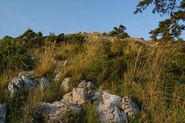 NP Llogarë, Llogarë NP