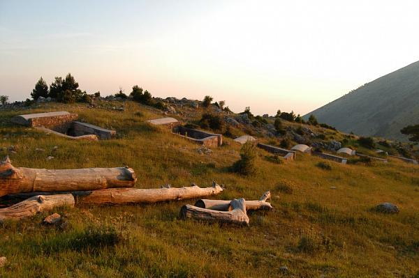 NP Llogarë, Llogarë NP