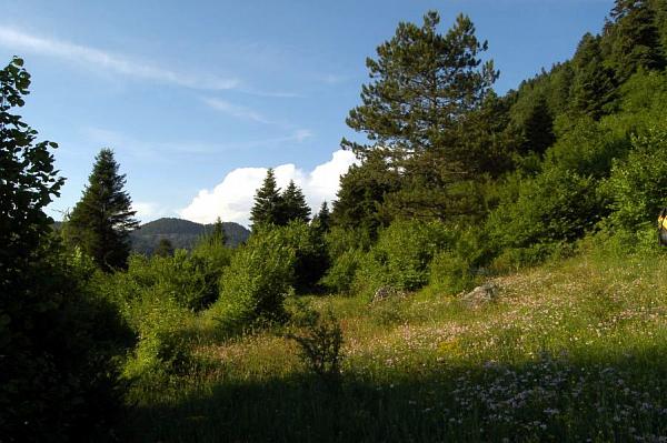 Laskovické jezero, Laskovik's lake, Shelegurë