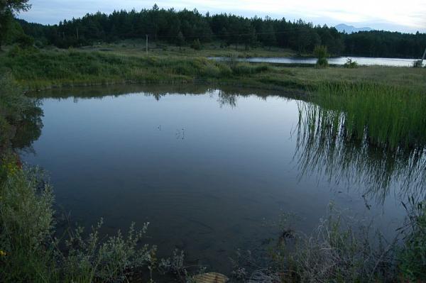 Laskovické jezero, Laskovik's lake, Shelegurë