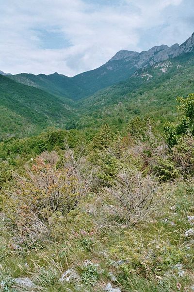 NP Paklenica, Paklenica NP