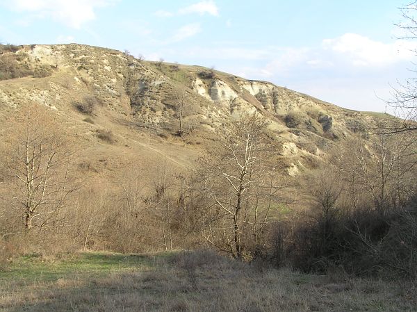 Džigurovo, Djigurovo