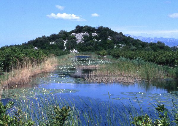 Neretva