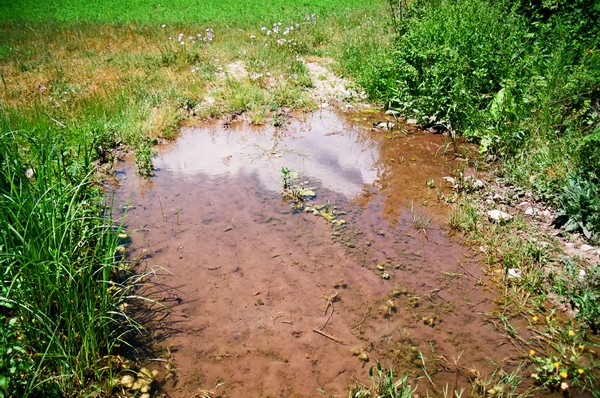 Gorno Spančevo, Gorno Spanchevo