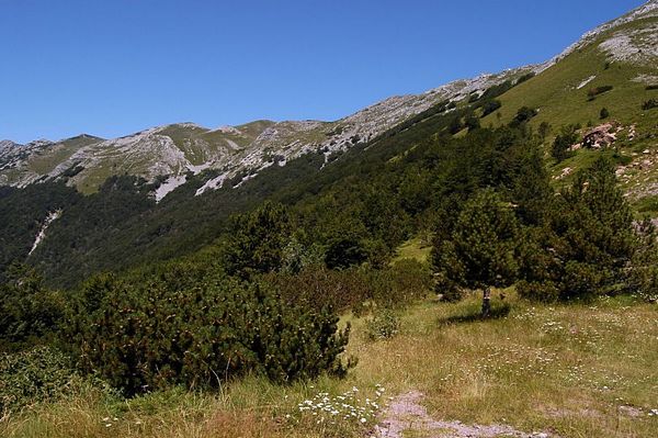 Velebit