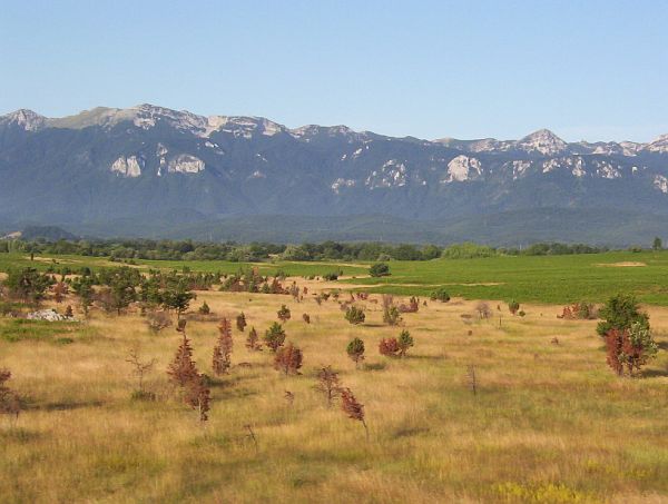 Velebit