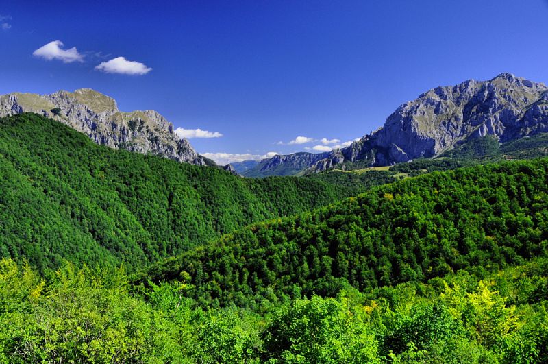 Sutjeska