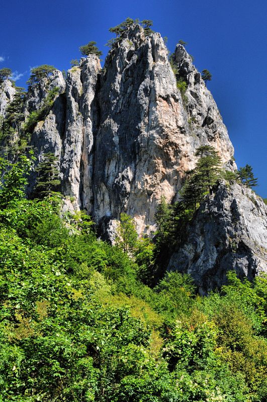 Sutjeska NP