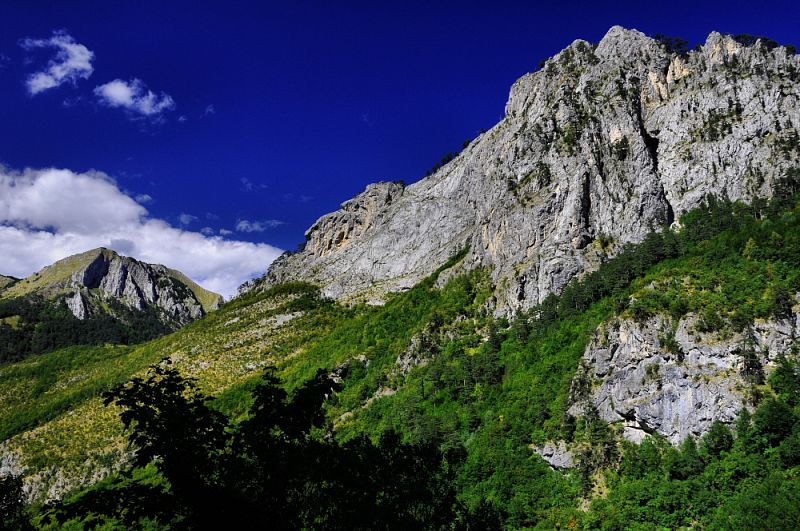 Sutjeska NP