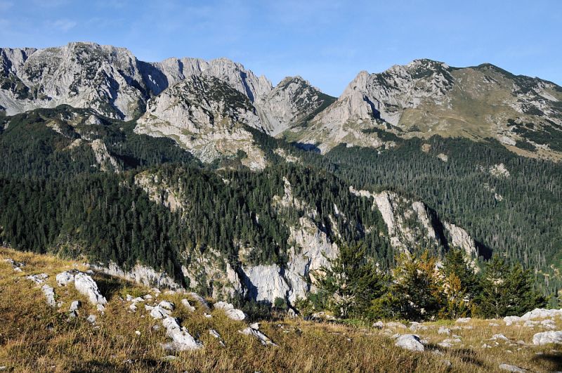 Sutjeska NP