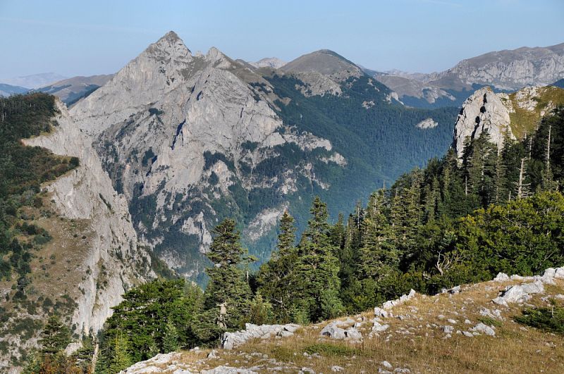 Sutjeska NP