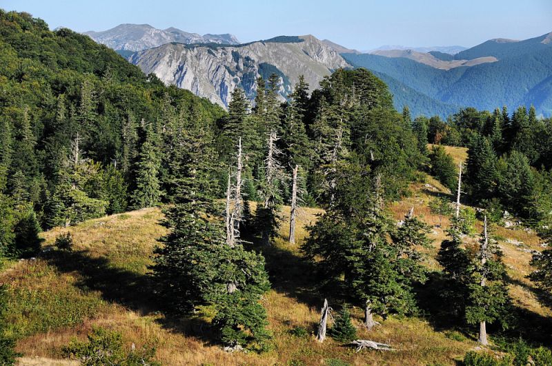 Sutjeska NP